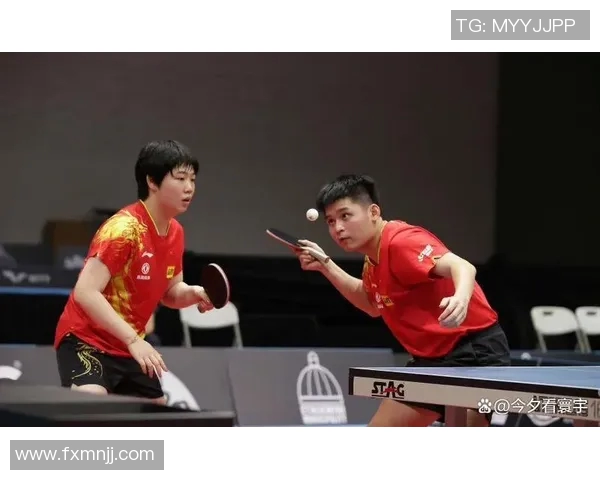 乒乓球新手必看:轻松掌握节奏与技巧的入门指南 乒乓球新手必看:轻松掌握节奏与技巧的入门指南