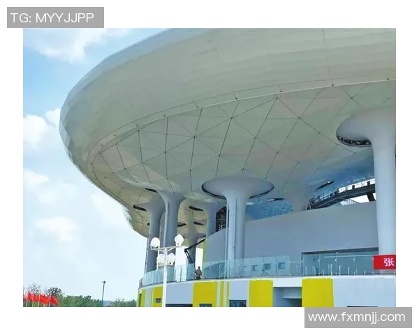 南京网球队的拼搏历程与荣耀时刻全景回顾