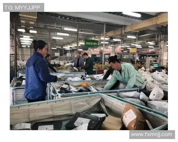 对话吴丽:回顾英雄联盟职业生涯的挑战与成就 对话吴丽:回顾英雄联盟职业生涯的挑战与成就