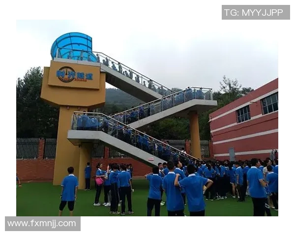 滑板人生的深度对话：杨磊与梦想的追逐与坚持