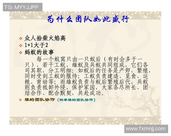 团队合作与竞技精神的融合探索浅析团队运动对个体成长与集体协作的影响